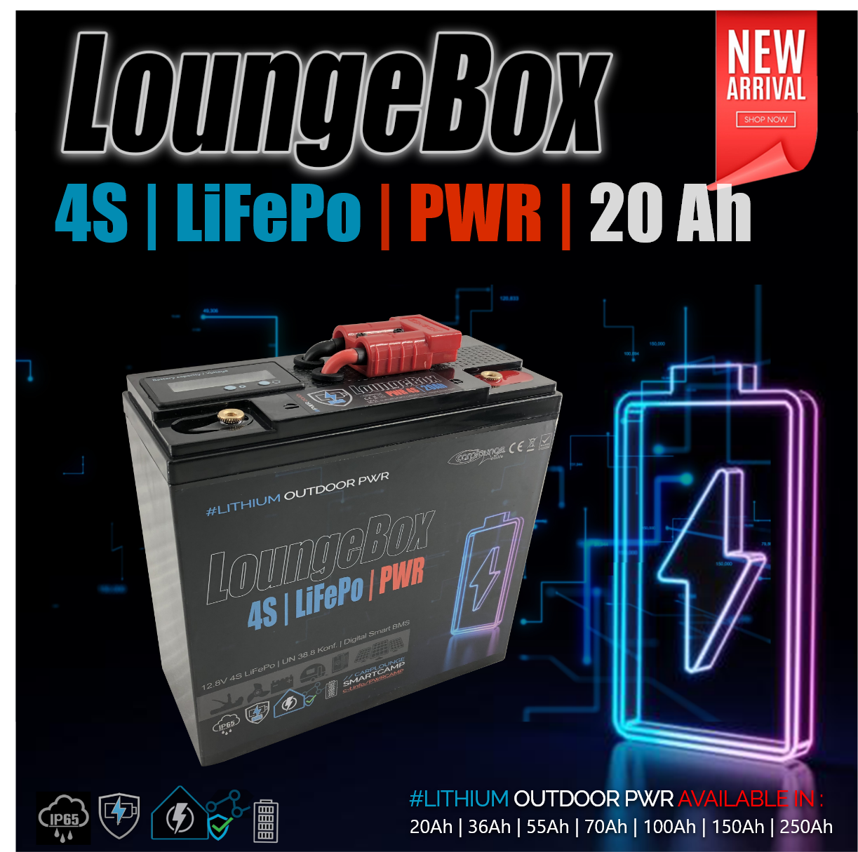 30A LifePo Quick Charger for the Loungebox PWR and Expedition